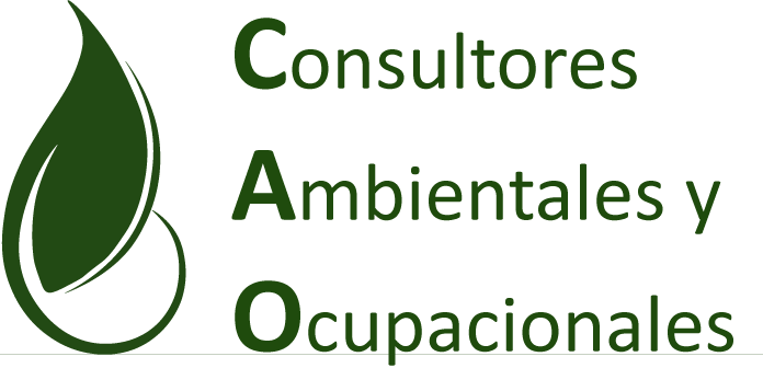 CAO Consultores
