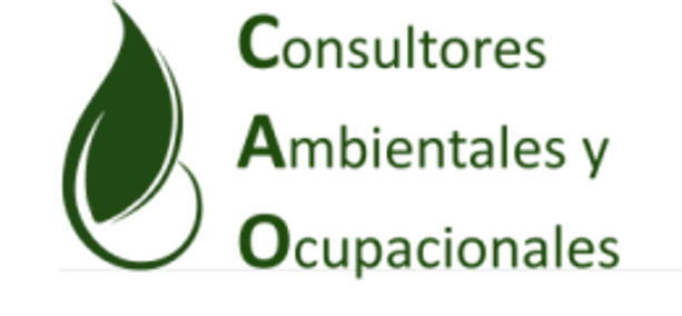 CAO Consultores